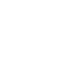 Icon: Camera